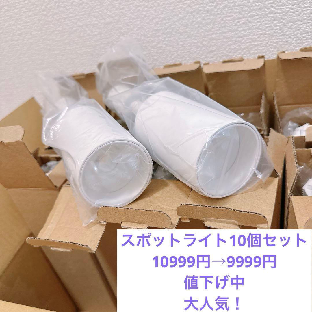 ダクトレール用スポットライト　10個セット　ホワイト