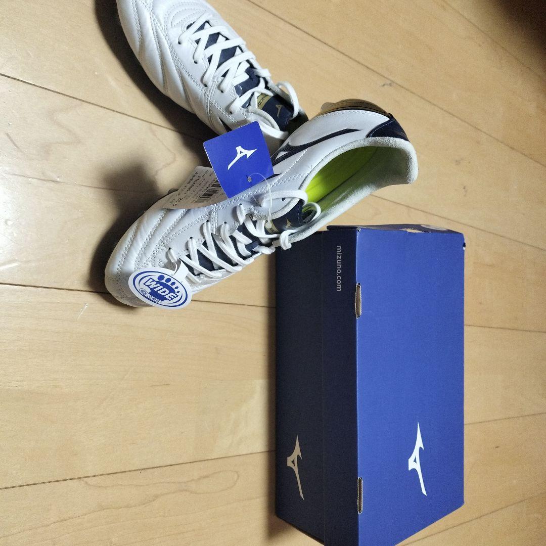 モナルシーダ2 wide