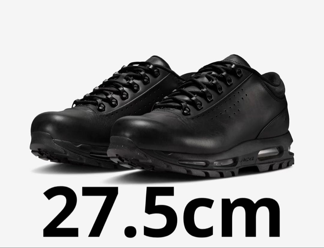 靴 Nike Air Max Goadome Low SP