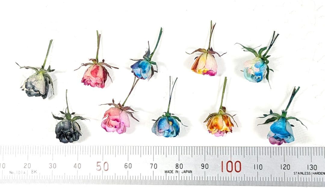 リトルウッズ　ドライフラワー　R-595