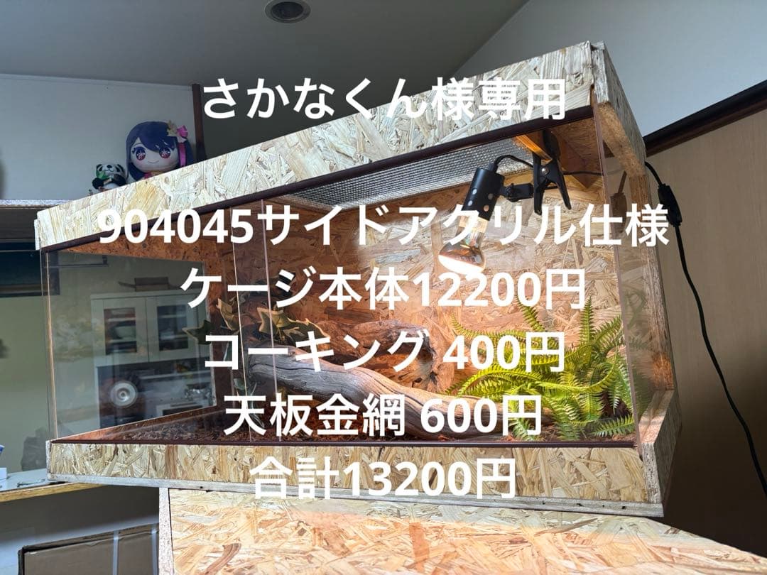 さかなくん　904045サイドアクリル