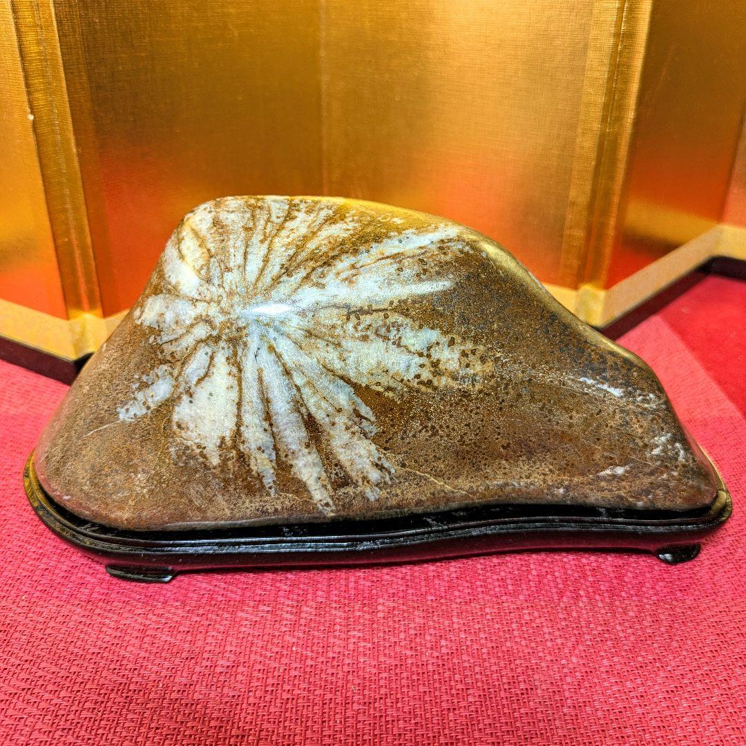 菊花石 岐阜県根尾谷産2.0㌔ 鑑賞石 観賞石 水石 盆石 天然石 置物