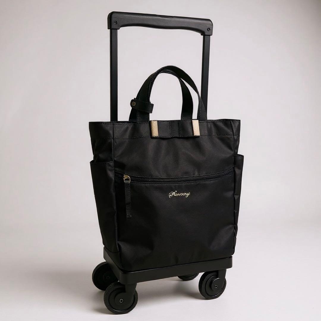 Swany スワニー ルバンドIII D-640 キャリーバッグ ストッパー付