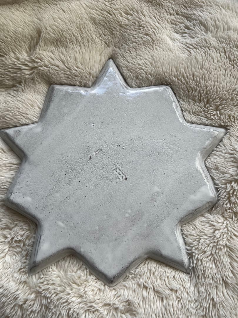 アスティエ・ド・ヴィラット　エトワール　ディナープレート