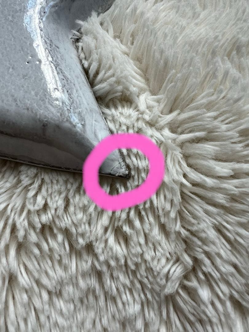 アスティエ・ド・ヴィラット　エトワール　ディナープレート