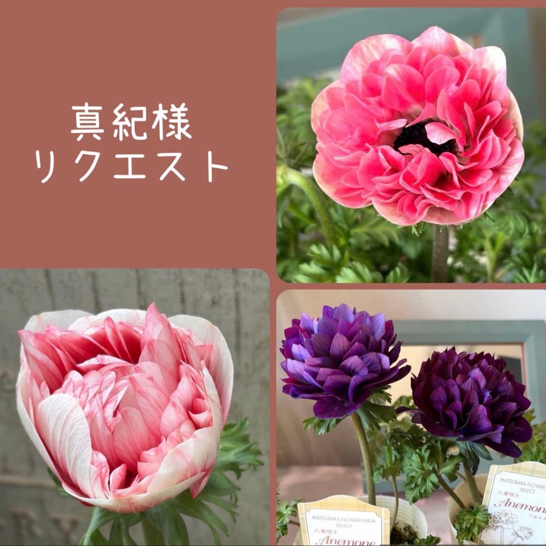 真紀様　リクエスト 2点 まとめ商品