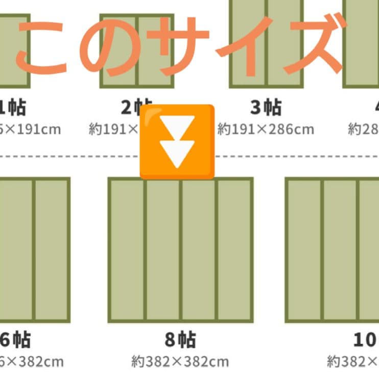【新品未使用】国産 い草カーペット 本間８畳