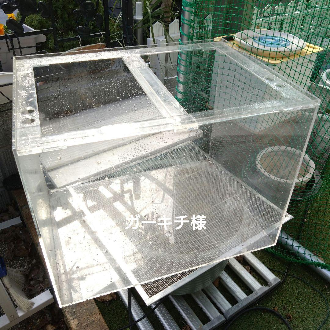 ガーキチ様限定☆アクリル水槽604545☆