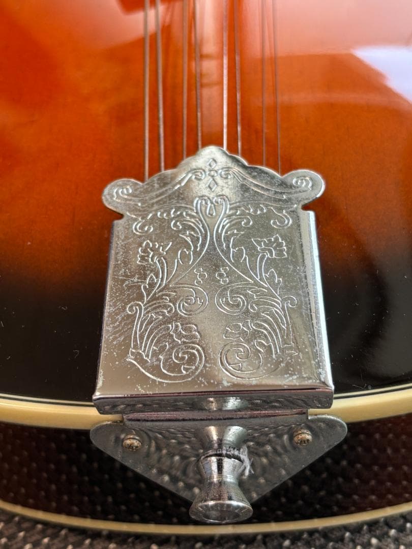 【美品と思います】Aria AM-20 マンドリン　ハードケース付き　送料無料