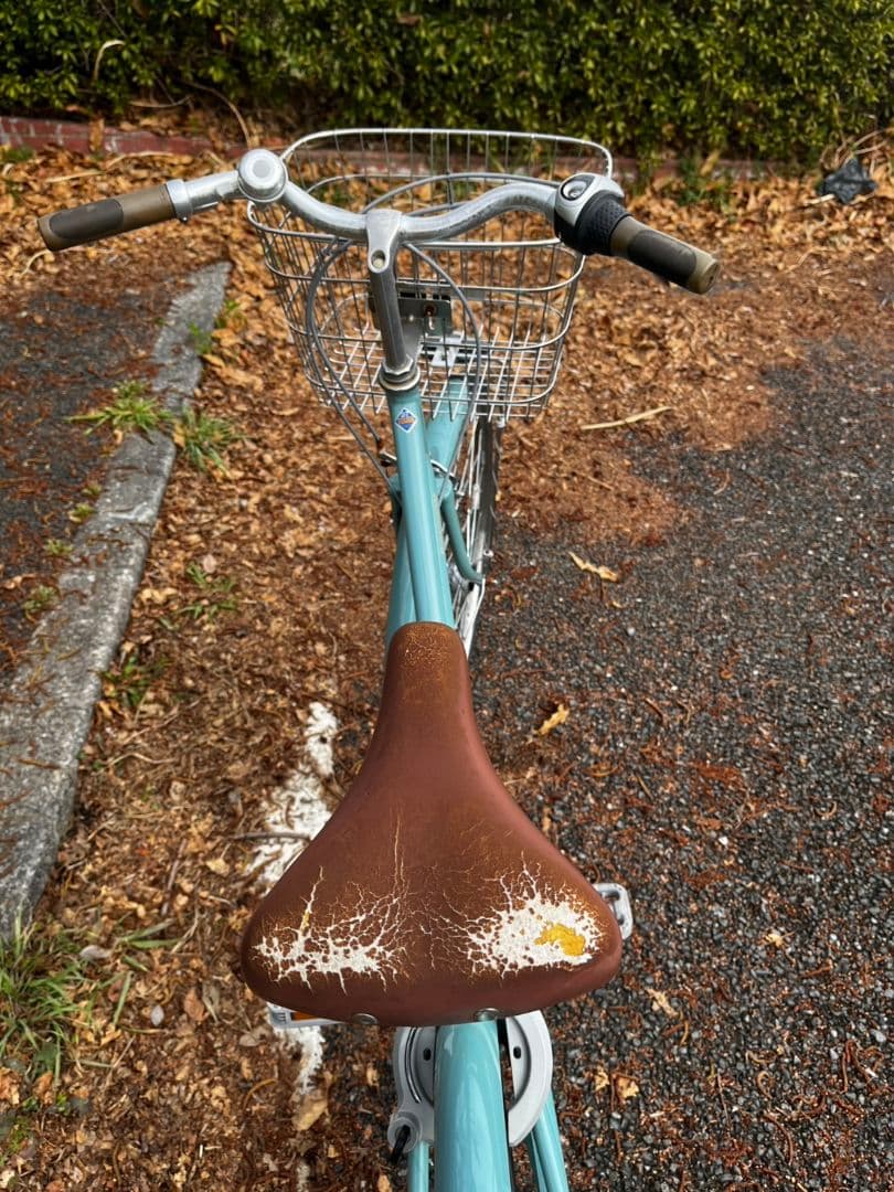 特に無し　お引き取り限定 ブリヂストン 26エブリッジL 内装3段ギア