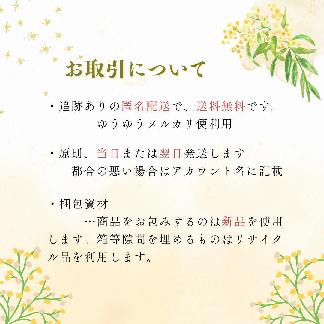 新品未開封 送料無料 Asettenai? アセッテナイ？ビズキ 20g×2個