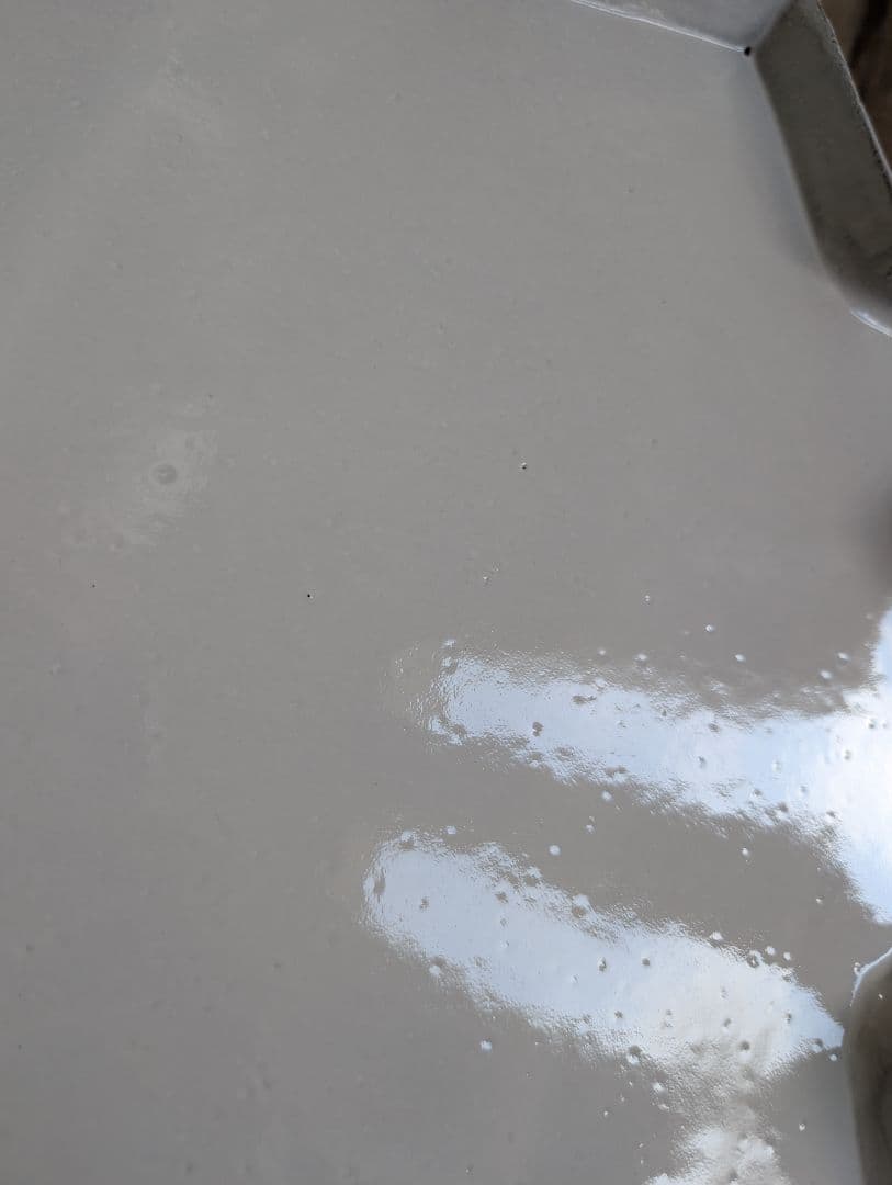 アスティエ・ド・ヴィラット　エトワール　ディナープレート②