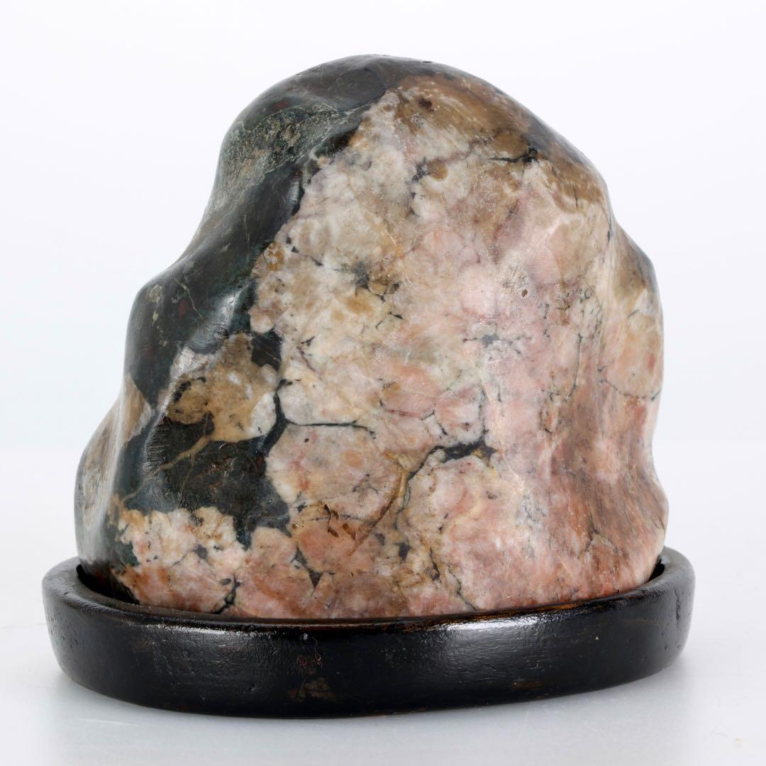 菊花石 菊紋石 紋石 台座付 635g 鑑賞石 原石 自然石 美石 小品盆栽