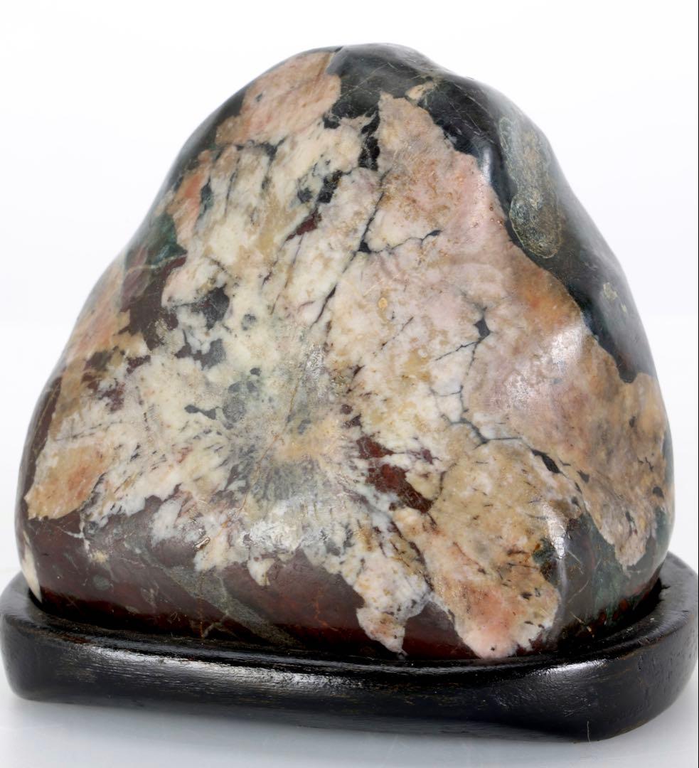 菊花石 菊紋石 紋石 台座付 635g 鑑賞石 原石 自然石 美石 小品盆栽