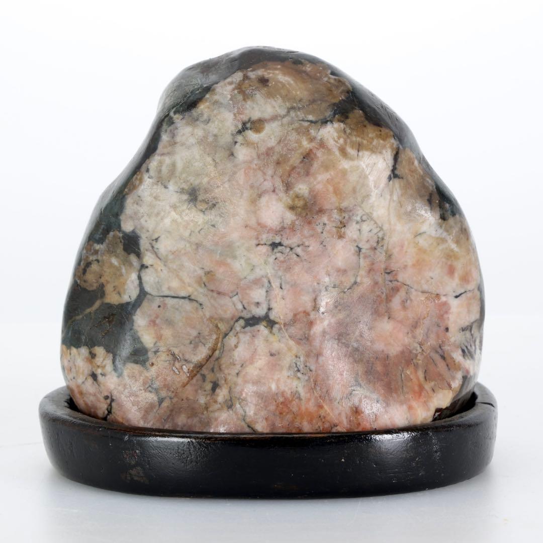 菊花石 菊紋石 紋石 台座付 635g 鑑賞石 原石 自然石 美石 小品盆栽