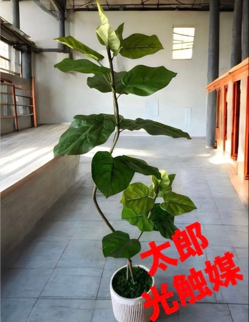 光触媒　人工観葉植物　ウォールグリーン　フェイクグリーン　2本ウンベラータ115