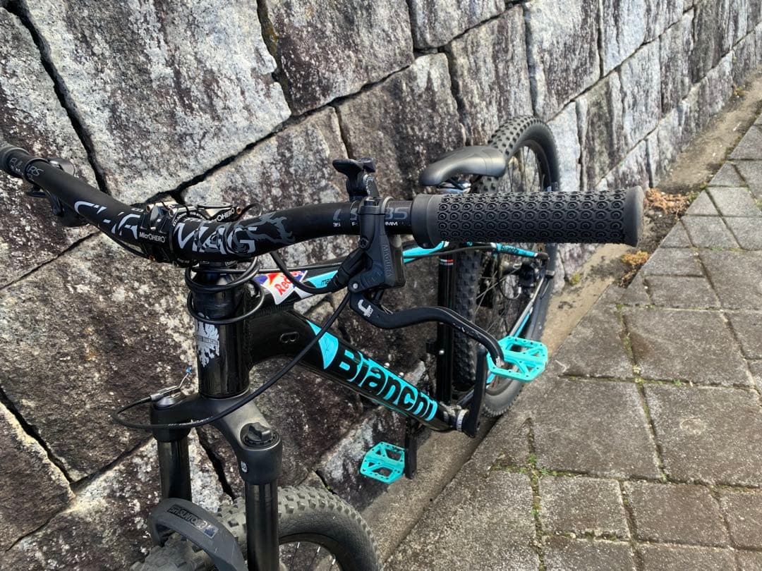 Bianchi マウンテンバイク 29inch