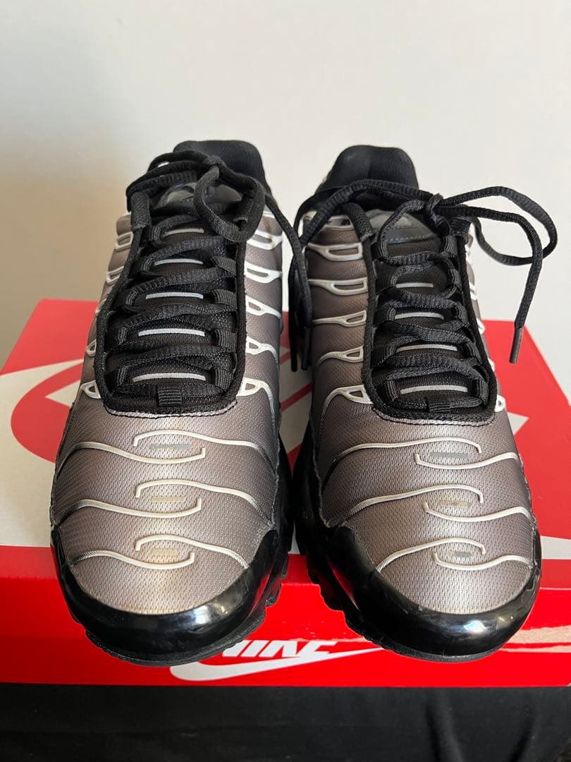 ナイキ　エアマックスプラスtn