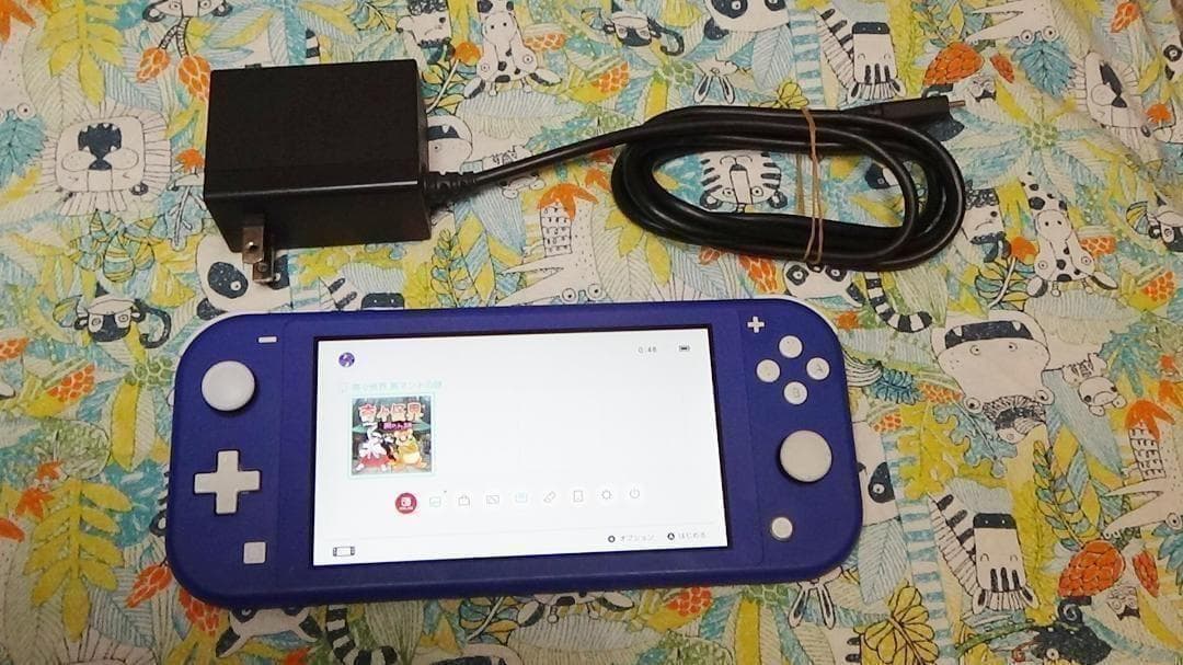 スイッチライト　Nintendo Switch Lite　本体 　充電器