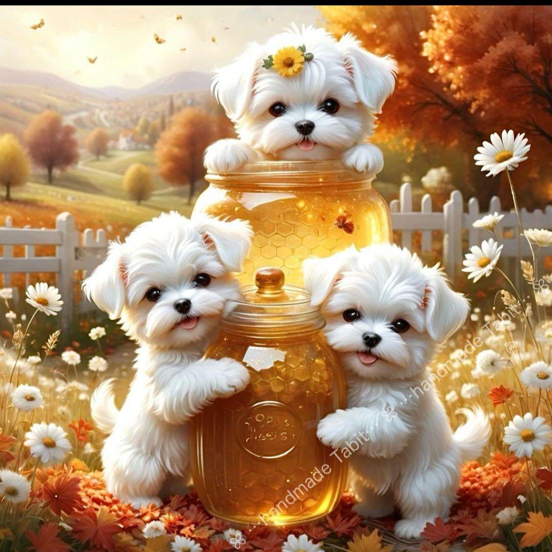 可愛いマルチーズパネル生地　ハンドメイド