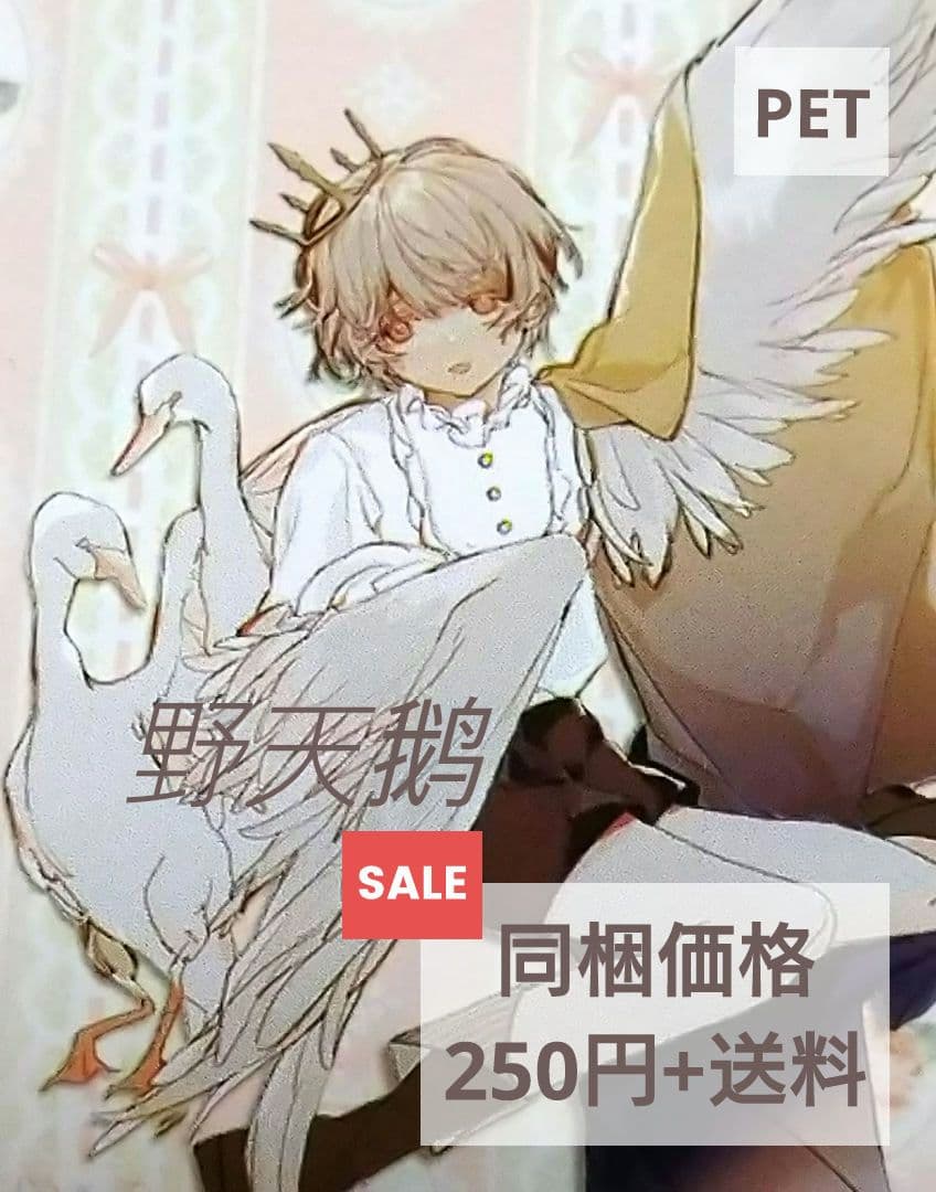 ✩SALE✩J155＃野天鹅(PET)Notte切り売り海外人物マステ男の子女子