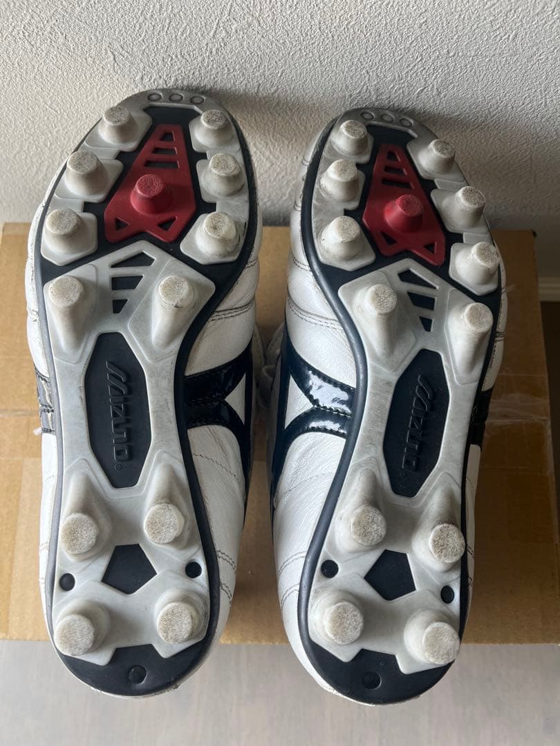 モレリア　希少タンあり　23.0