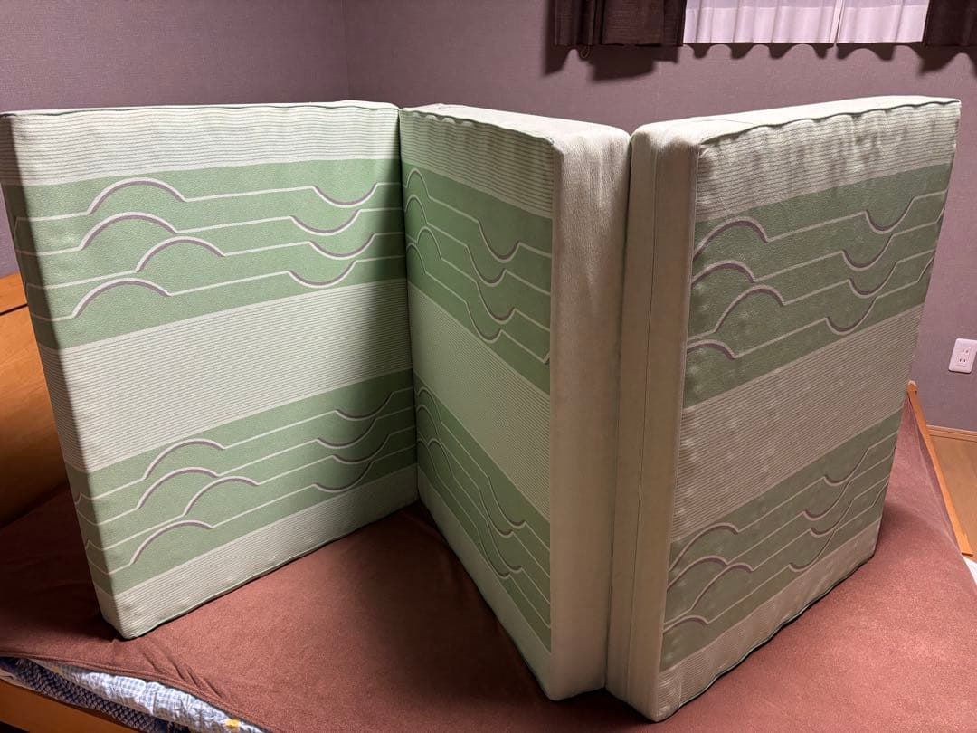 【廃盤レア品】ヘルスウェーブ ゴールド ジュニア