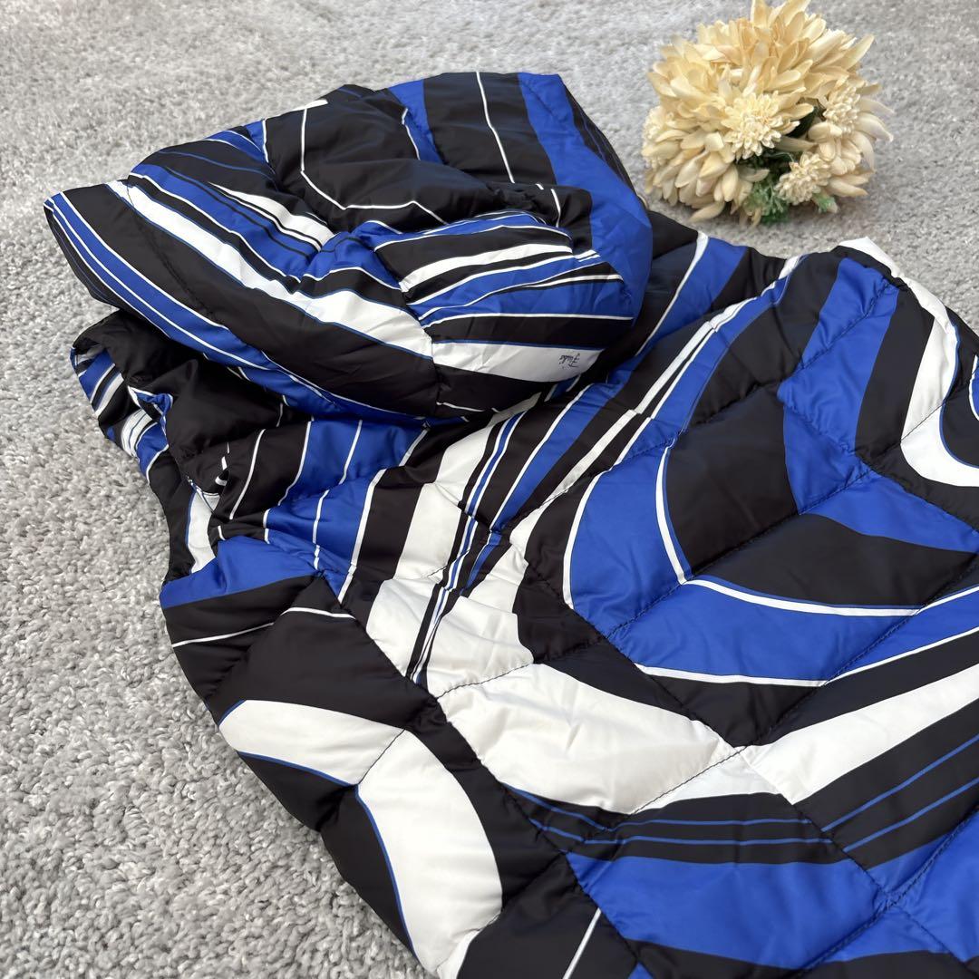 エミリオプッチ　ダウンベスト　プッチ柄　ブルー　フード取り外し　ダウン／フェザー