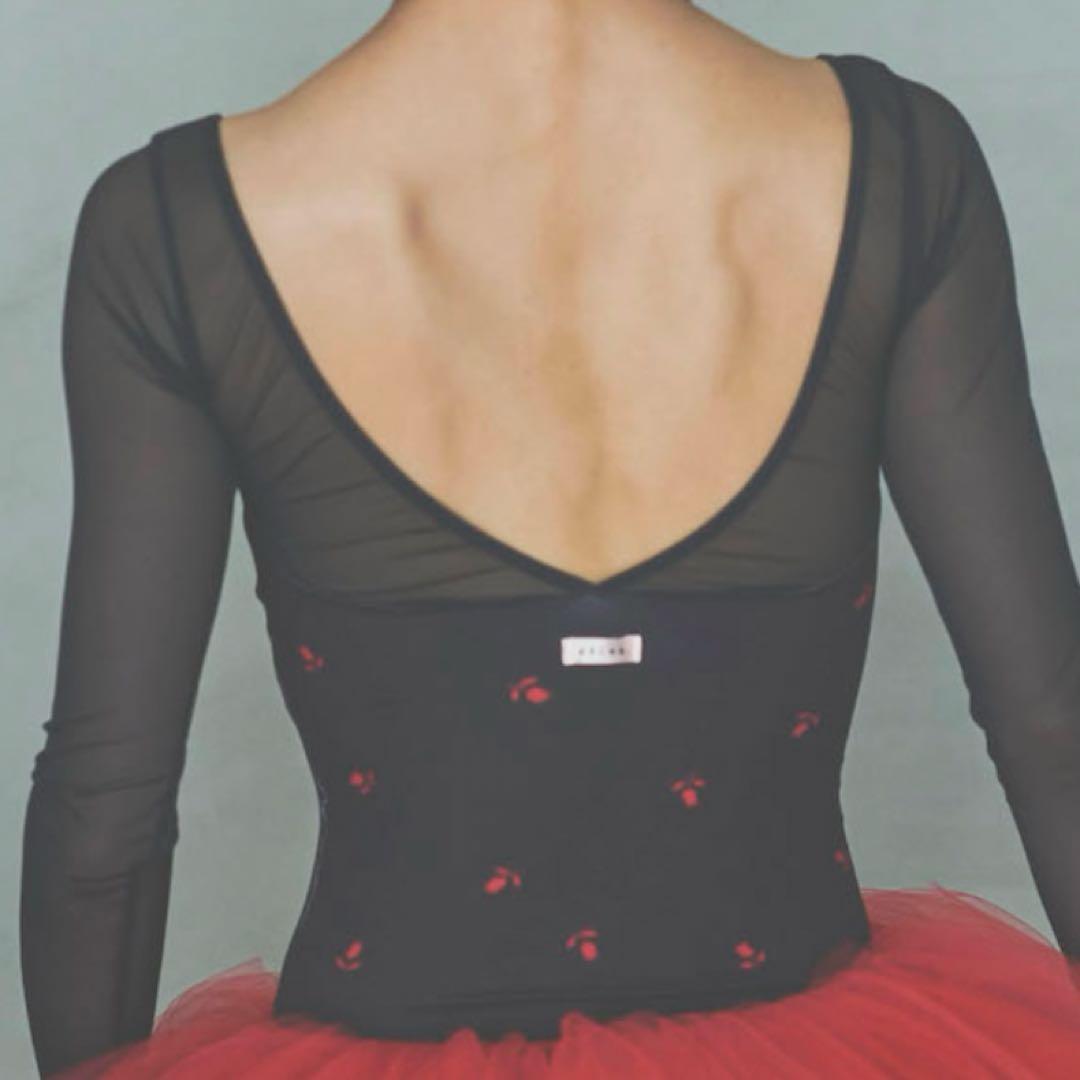 美品スティナバレエ レオタード(Lサイズ)スカートセットtype T