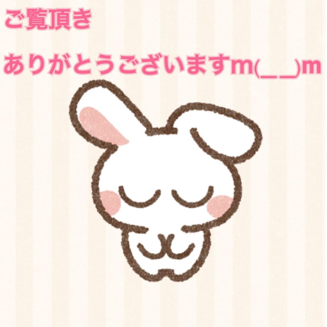 【大きいサイズ】ALPHA INDUSTRIES CWU-45/P XL