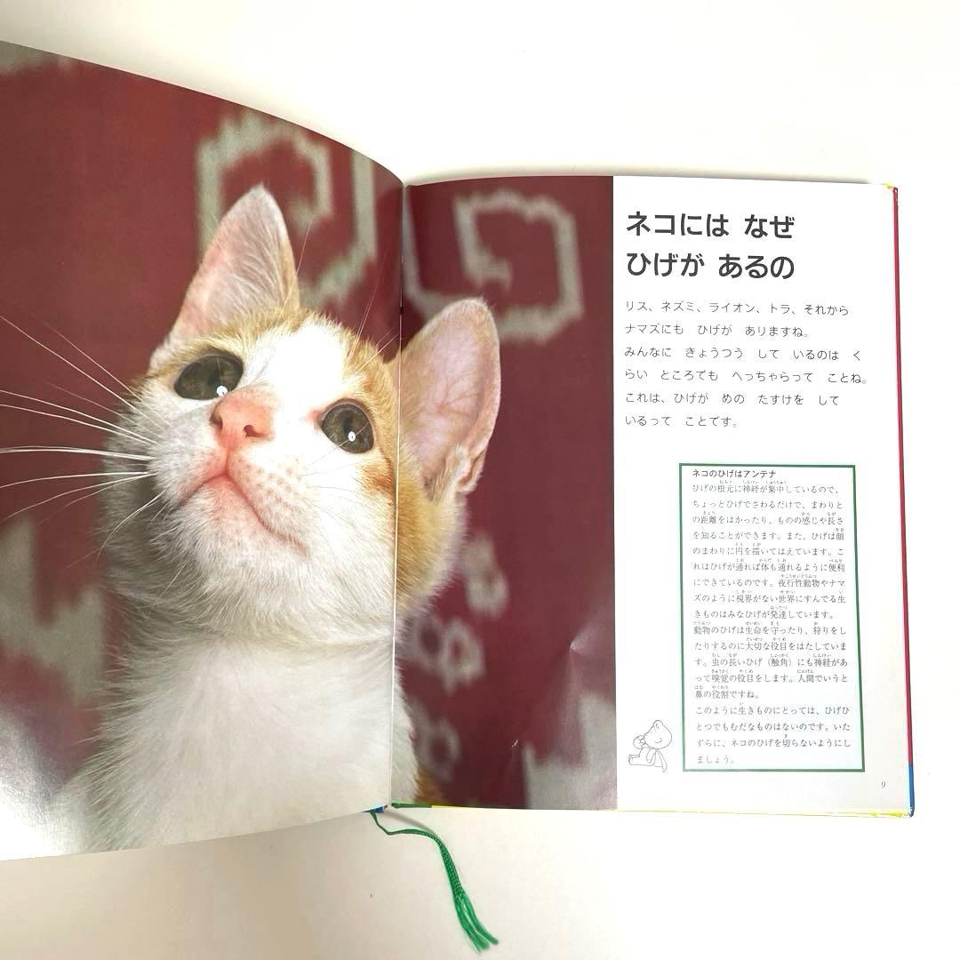 【美品】家庭保育園　なぜなにブック　全22巻セット