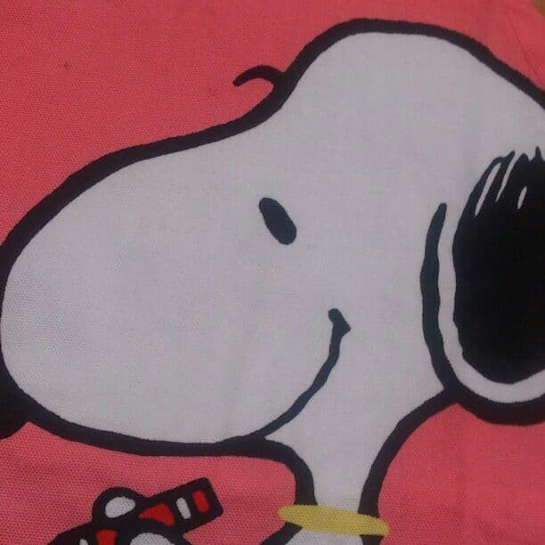 うらたん確認用