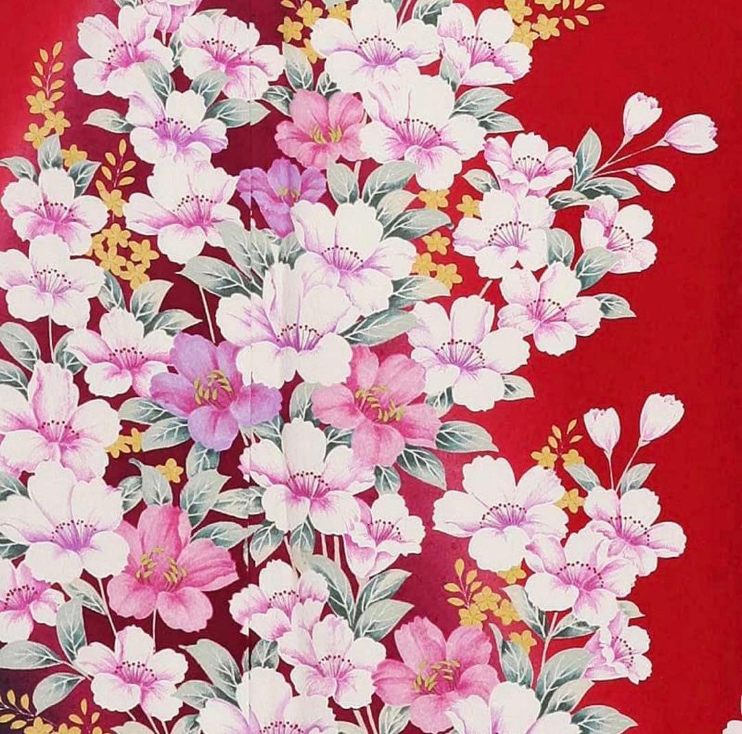 振袖 赤 ふくよか体型