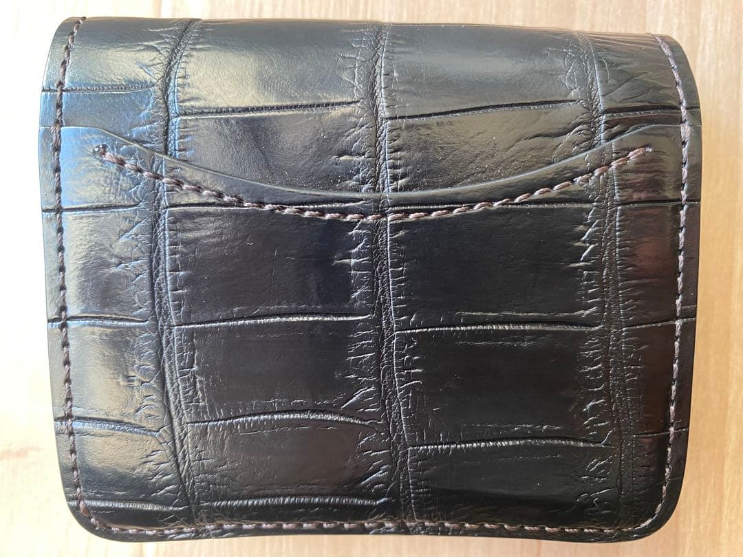 WILDSWANS （ワイルドスワンズ）　PALM V2（パームV2）　クロコ