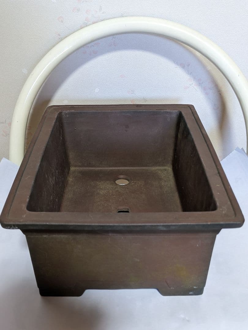 ♦紫砂 紫泥 盆栽鉢 美術品 ？志那鉢 中国鉢 コレクション 骨董品アンティーク