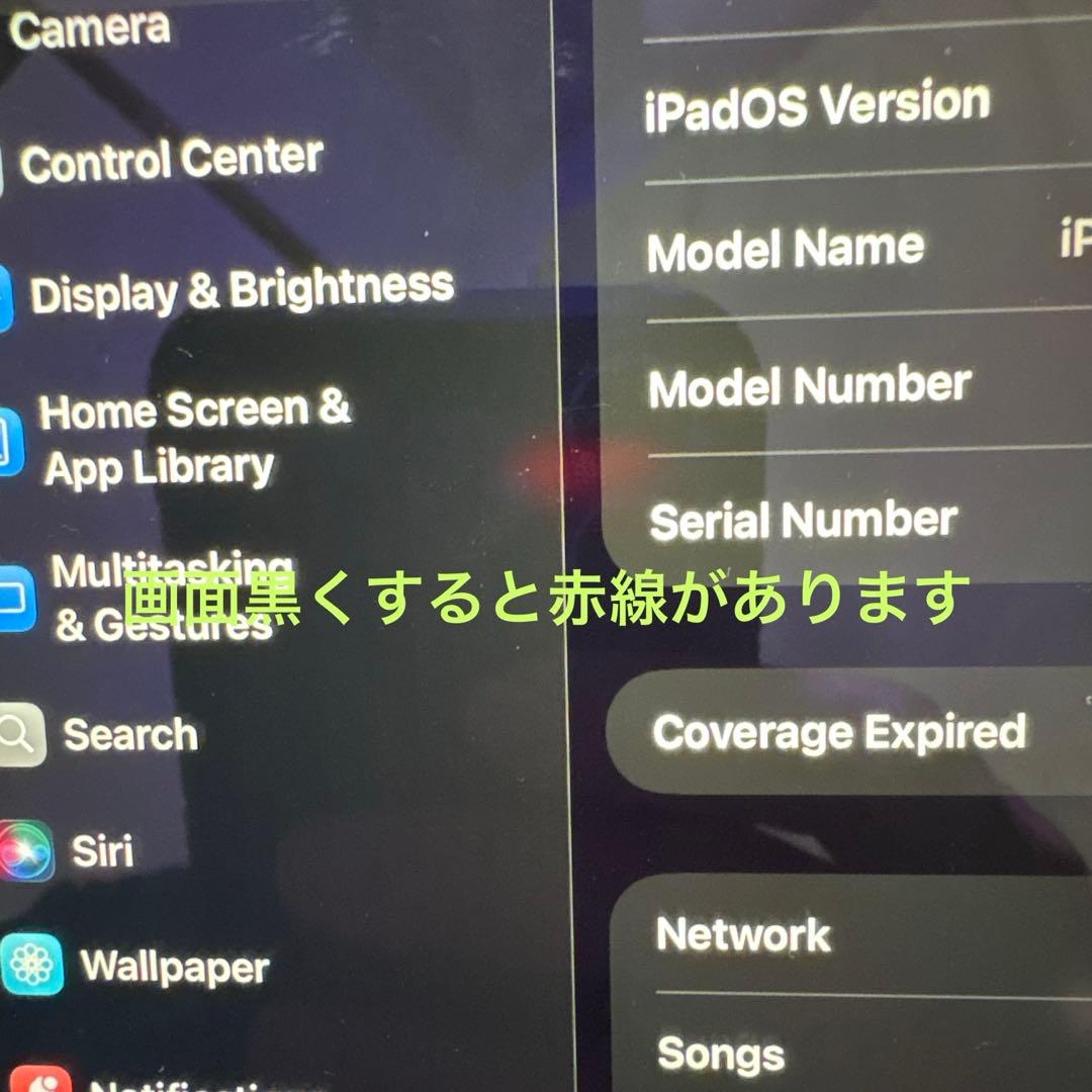 iPad本体 Apple iPad mini (5th generation) 256GB