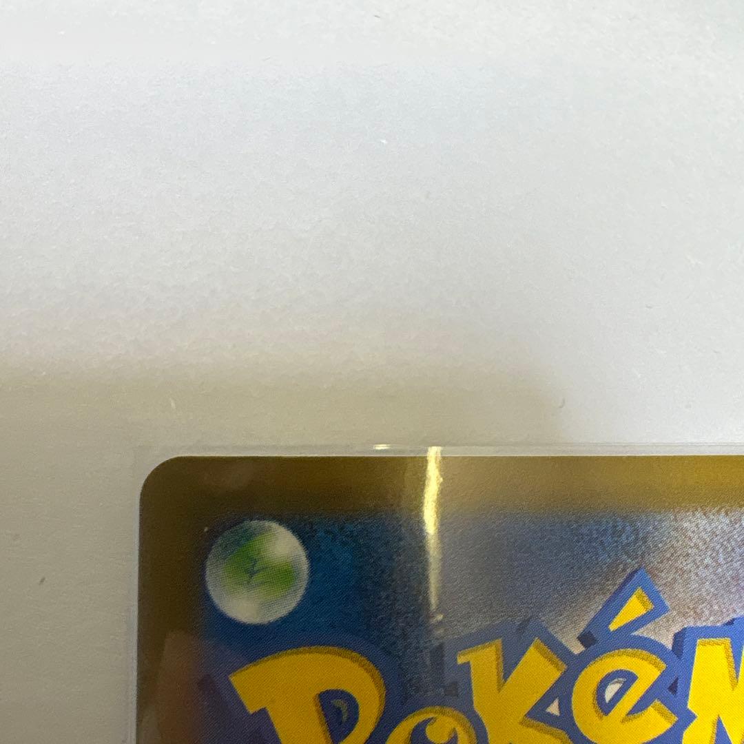 メガカイリューex SAR ローダー付属