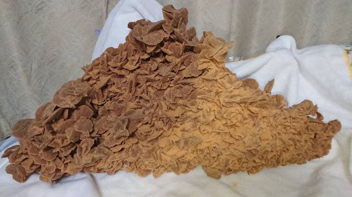 サンドローズ(デザートローズ)