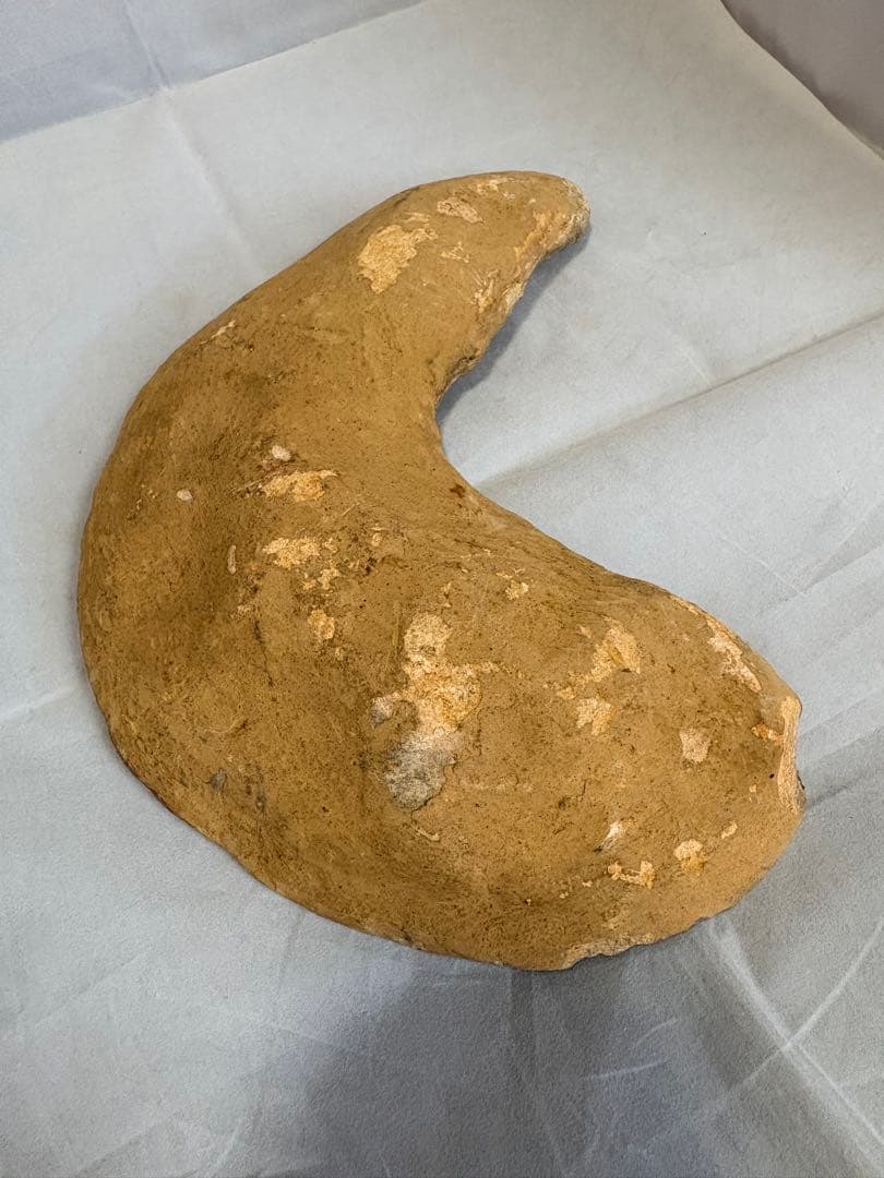 【白亜紀・本物】古代魚の化石 1139g 全身 18cm 鱗まで鮮明