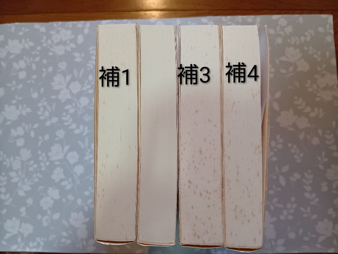 相似象学会誌23冊セット(別冊9冊、特集号1冊含) 　宇野多美恵