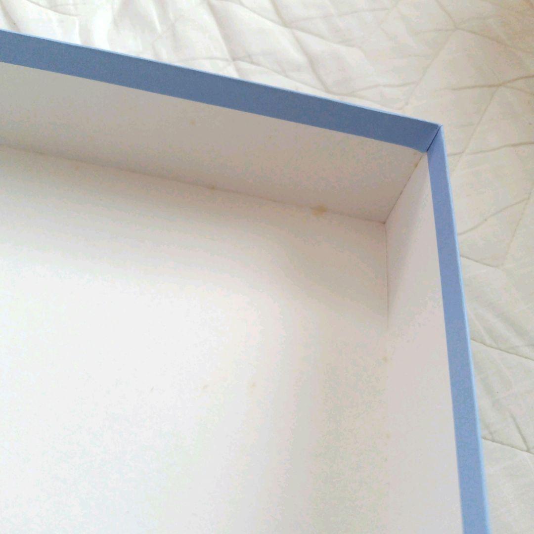 【】大1 小2 / 皿3枚 ワイルドストロベリー 新品 箱入り