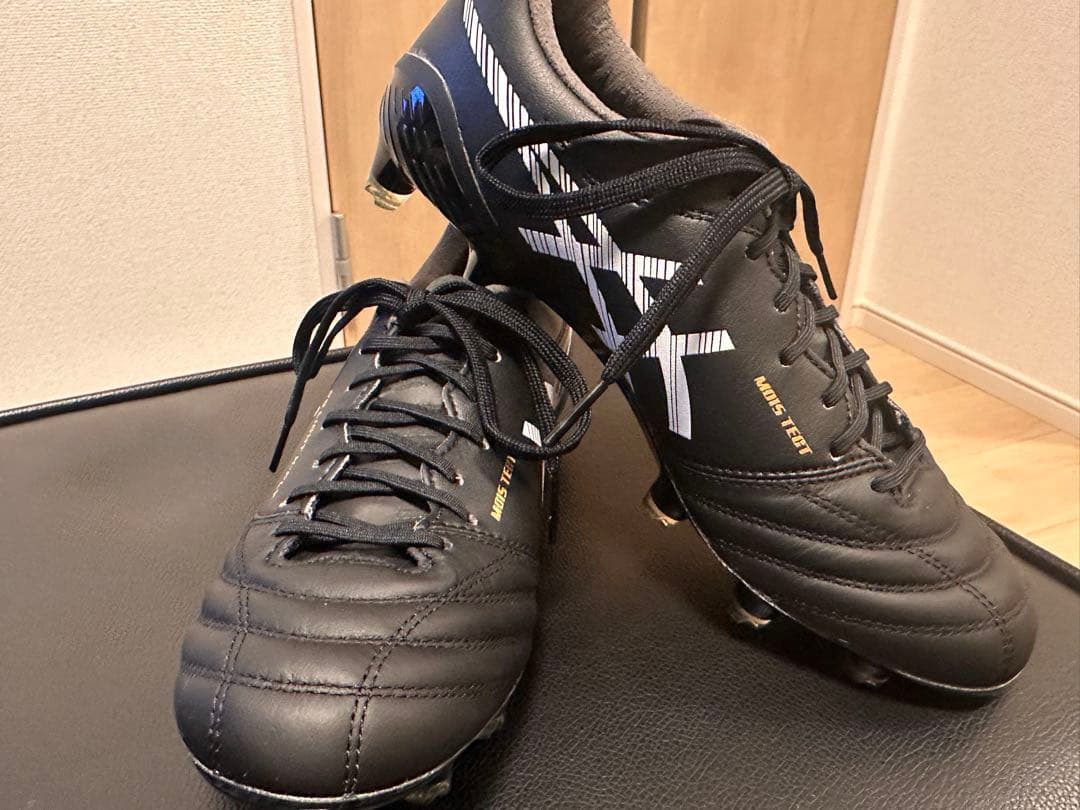 アシックス　DS LIGHT X-FLY 5 25.0㎝