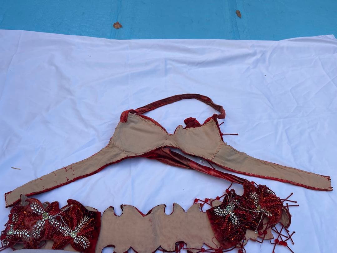 ブラジルベリーダンス セットアップ 赤紫