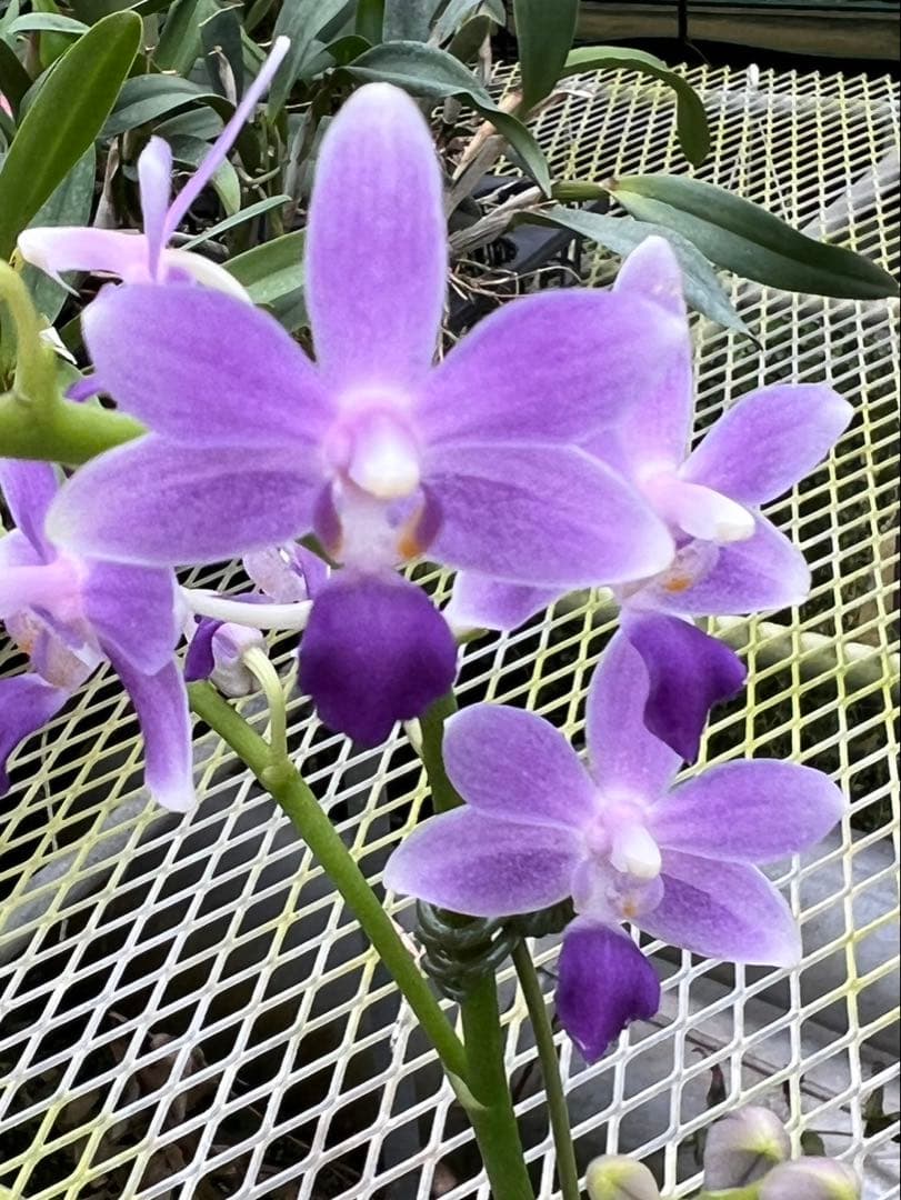 user_ee23f7bd様 リクエスト 3点 まとめ商品　メルカリ便