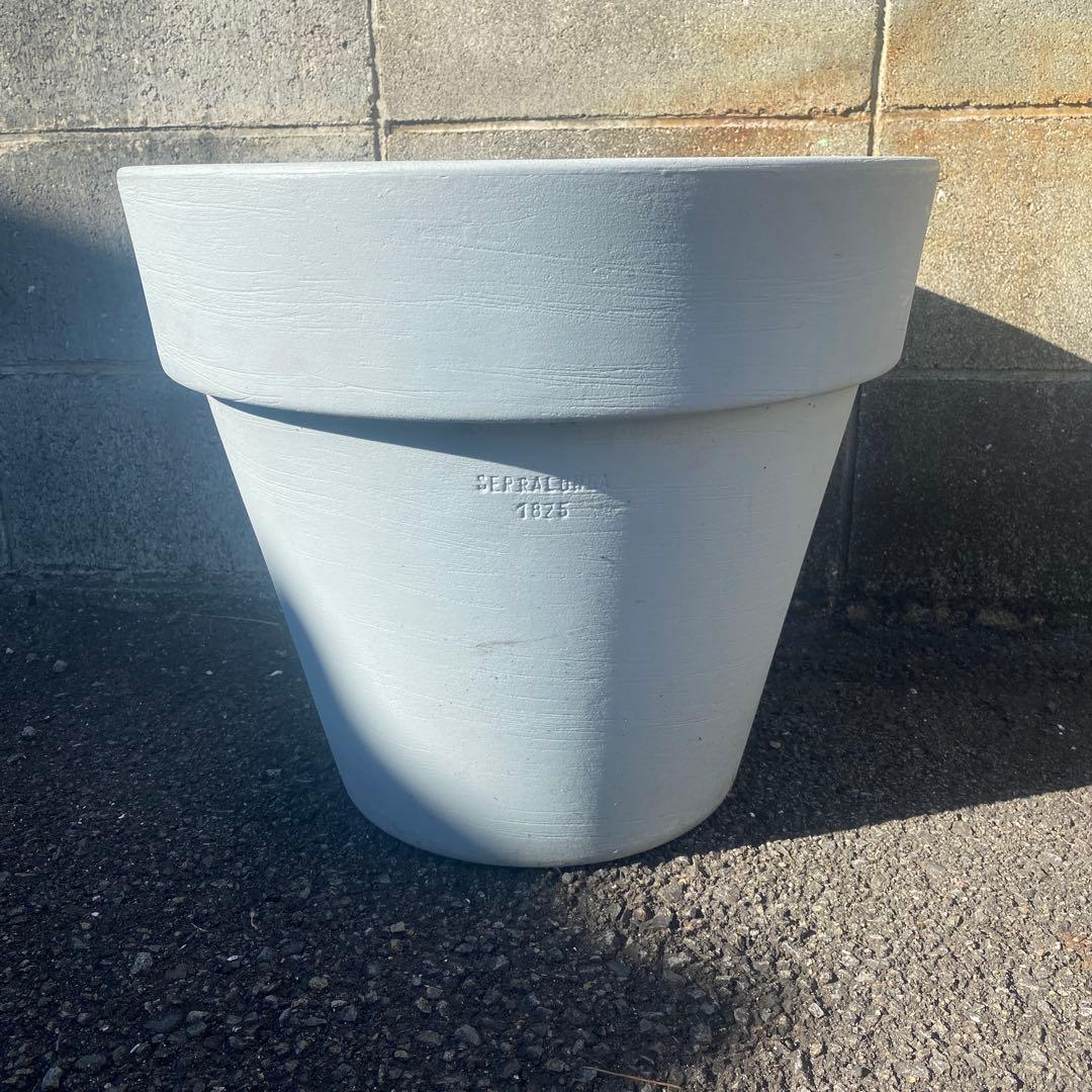 SERRALUNGA セラルンガ　　鉢　インテリア　観葉植物