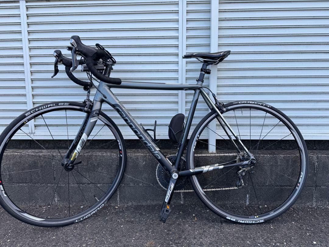 CAAD10 カーボンキラー