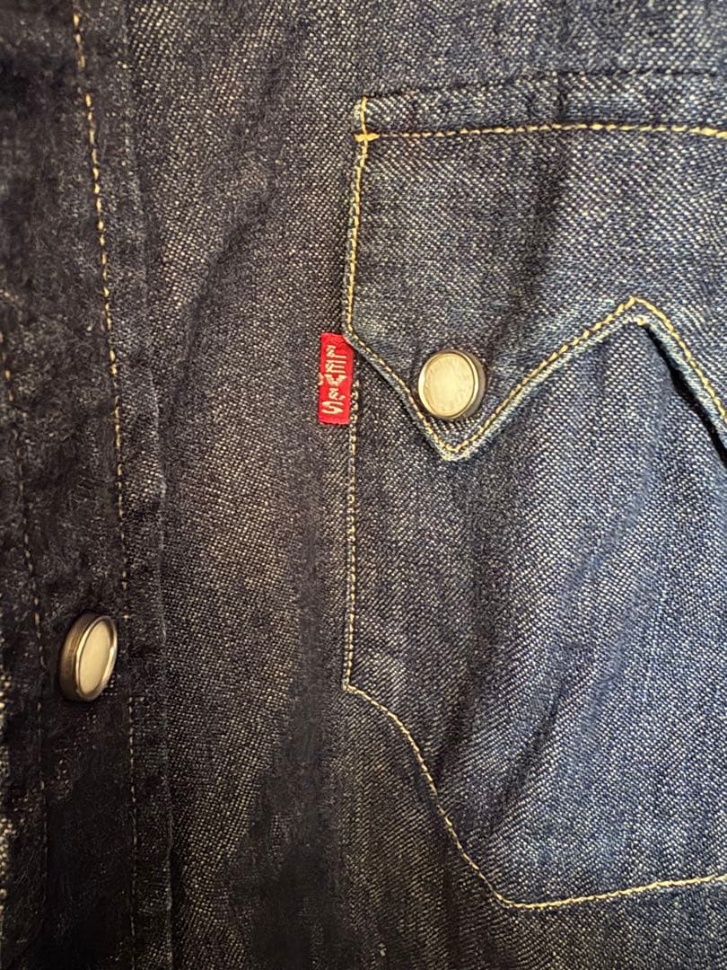 バレンシア ショートホーンシャツ 48