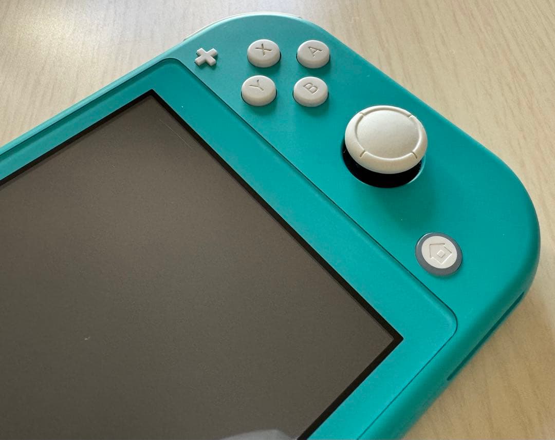 Nintendo Switch Lite 本体のみ