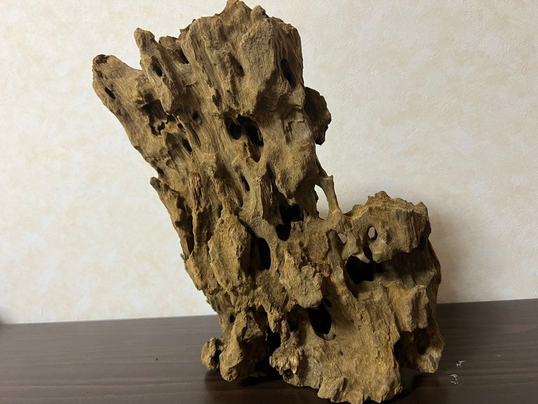 XM-350 流木　マシンガンウッド　アクアリウム　ブランチウッド