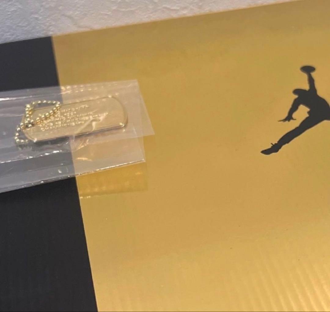 Nike Air Jordan 6 27.5cm ブラック　ゴールド